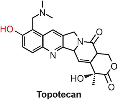 Elucidation of Mechanisms of Topotecan-Induced Cell Death in Human Breast MCF-7 Cancer Cells by Gene Expression Analysis